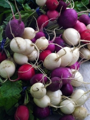 Easter Egg Radish 300 Seeds - GARDEN FRESH PACK!