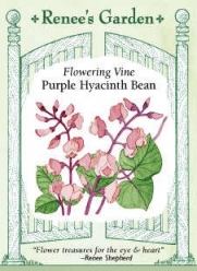 Hyacinth Bean Vine Seeds