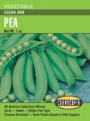 Pea Sugar Ann Seeds