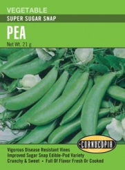 Pea Super Sugar Snap Seeds