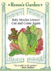 Lettuce Seeds - Baby Mesclun - Cut and Come Again