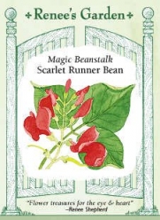 Magic Beanstalk Heirloom Runner Bean Seeds 20 Seeds