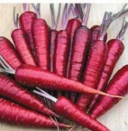 Seed Savers Exchange 1190 Open-pollinated Carrot, Dragon, 250 Seed Packet