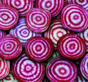 Seed Savers Exchange 0345 Open-pollinated Beet, Chioggia, 100 Seed Packet