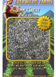 Everwilde Farms - Summer Savory Herb Seeds - Jumbo Seed Packet (2000)