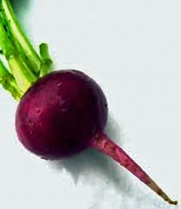 Beets, Early Wonder, Heirloom, Organic, Non GMO, 25+ Seeds, Tender N Sweet Beet, Perfect