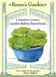 Container Lettuce Seeds Garden Babies Butterhead 1500 Seeds