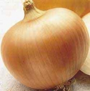 Onion Yellow Sweet Spanish Great Heirloom Vegetable 300 Seeds